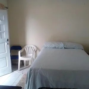Cozy Queen Court Apt Constant Spring Road Kingston