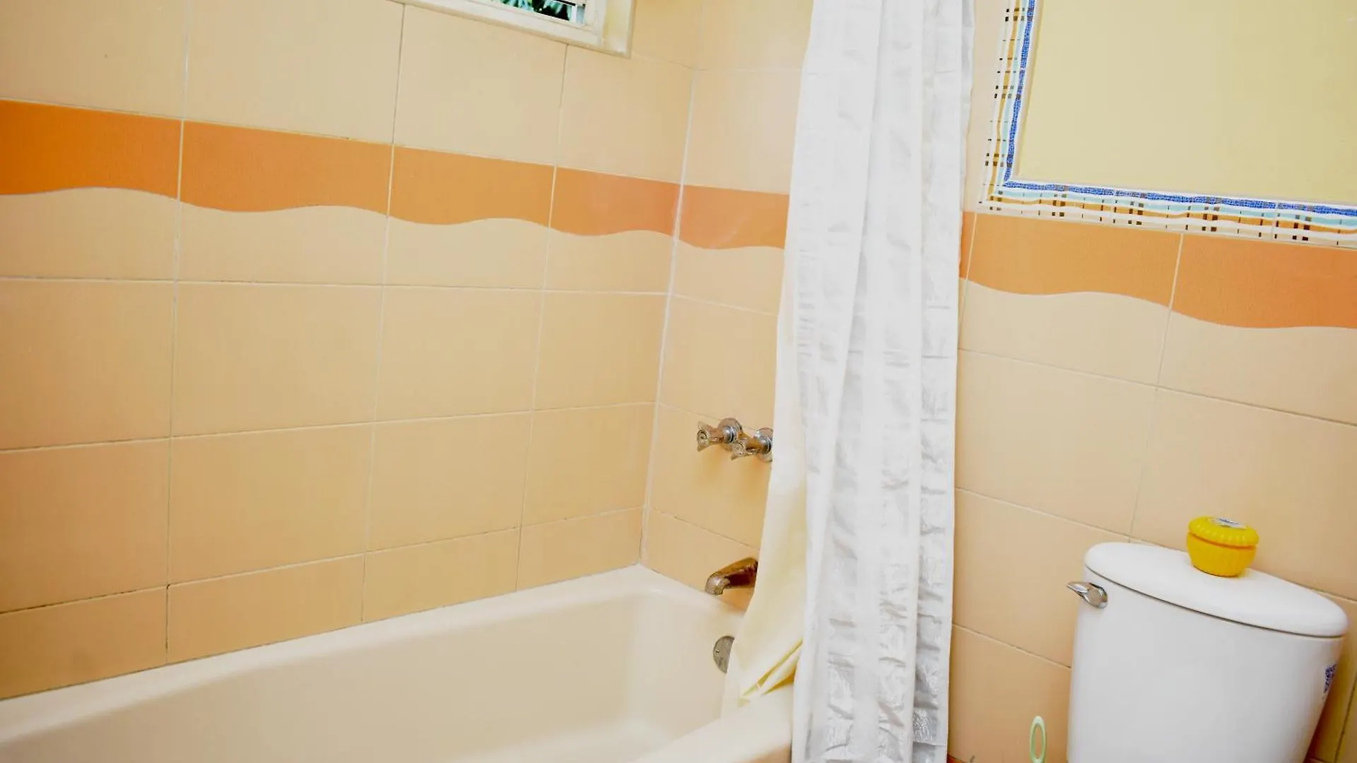 Folkes Manor 2Bdrm Penthouse Apt, A/C, Wi-Fi, Washer & Dryer Kingston Apartment